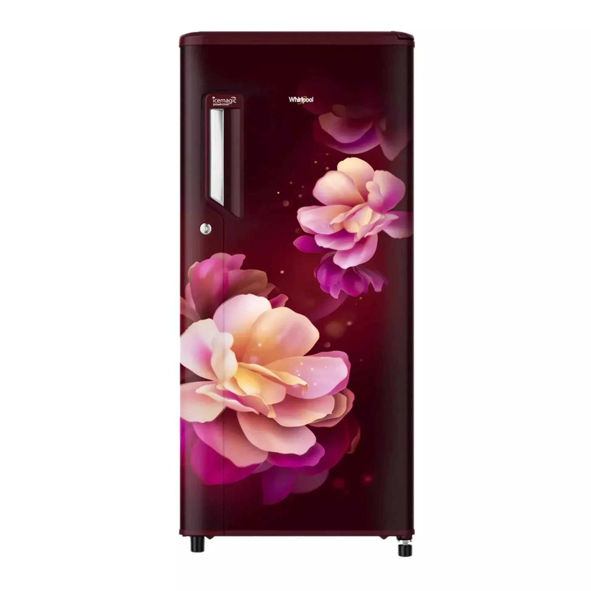 Kitchen Refrigerator in Jorhat Assam - Energy-Efficient and Food Fresher -  - Buy Online at SHYAM ELECTRONICS