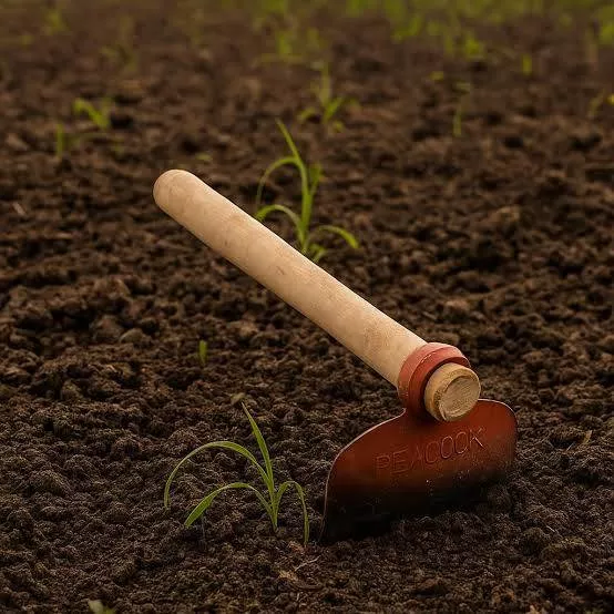 Garden Tool Hand Hoe in Sangod: Sturdy for Soil Preparation -  - Buy Online at RIZWAN IRON AND HARDWARE STORE
