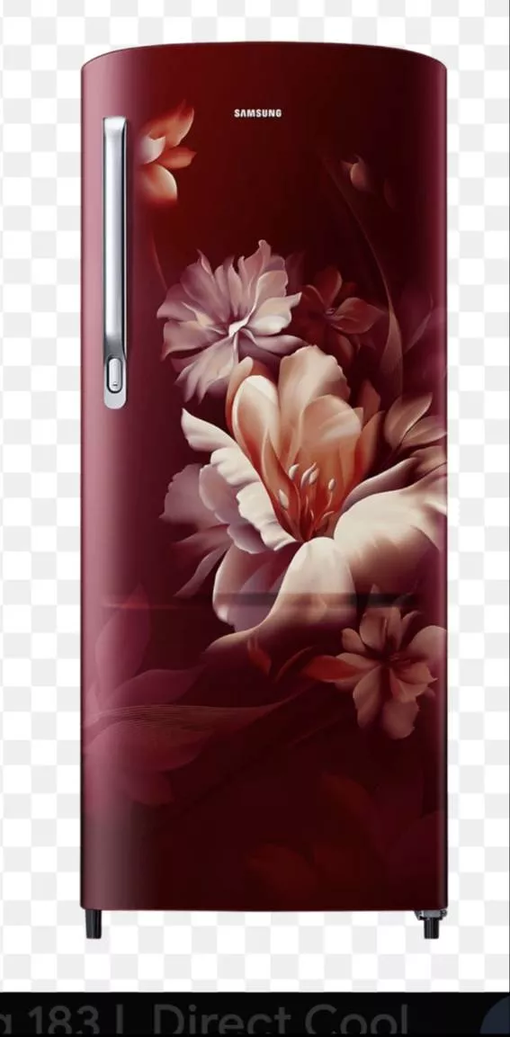 Samsung Refrigerator in Golaghat: 183L Direct Cool Single Door with Elegant Floral Design -  - Buy Online at EASTERN ELECTRONICS