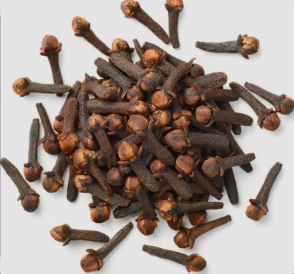 Aakash Traders Whole Cloves in Tajpur - Aromatic Flavoring -  - Buy Online at AAKASH TRADERS