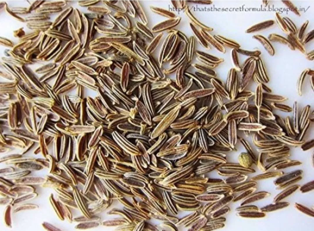 Aakash Traders Cumin Seeds in Samastipur: Premium Quality for Indian and International Cuisines -  - Buy Online at AAKASH TRADERS