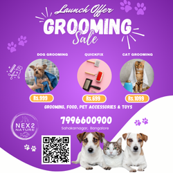 Grooming Package-https://media.vyaparify.com/vcards/products/56151/Copy-of-Purple-and-White-Playful-Animals-Pet-Shop-Instagram-Post-(250-x-250-px).png Image