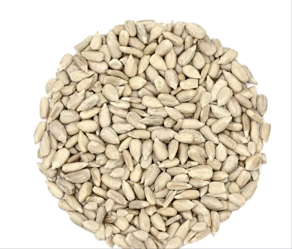 Seed in MajnuChowk Belwar Road Key to Healthy Harvests -  - Buy Online at MAHAVEER BEEJ BHANDAR