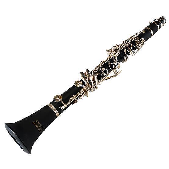 Diplomat USA Clarinet Bb Hard Case in Meerut - Smooth Sound - Image 1