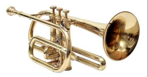 CORNET 3 VALUE in Meerut - Unbeatable Performance and Versatility -  - Buy Online at MELODY MAKERS INDIA