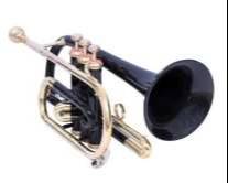 CORNET 3 VALUE in Meerut - Unbeatable Performance and Versatility - Image 1