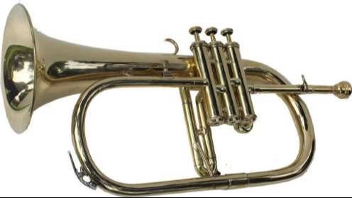 FLUGEL HORN BRASS in Meerut - Stylish Musical Instrument -  - Buy Online at MELODY MAKERS INDIA