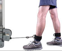 Timefit Ankle Band in Meerut - Boost Your Clients' Strength and Endurance -  - Buy Online at KUN INTERNATIONAL