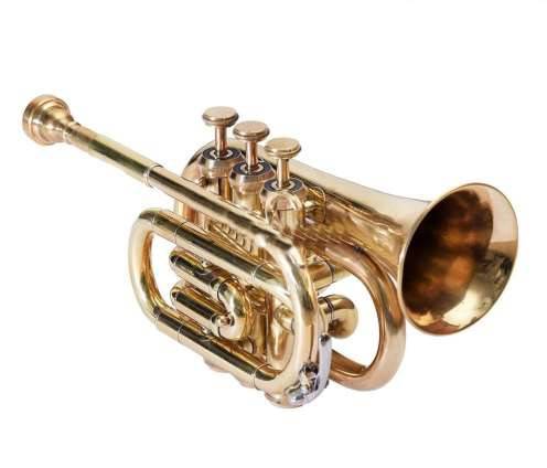 Brass Pocket Trumpet -  - Buy Online at MELODY MAKERS INDIA