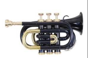 Brass Pocket Trumpet - Image 1