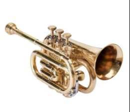 Brass Pocket Trumpet - Image 2