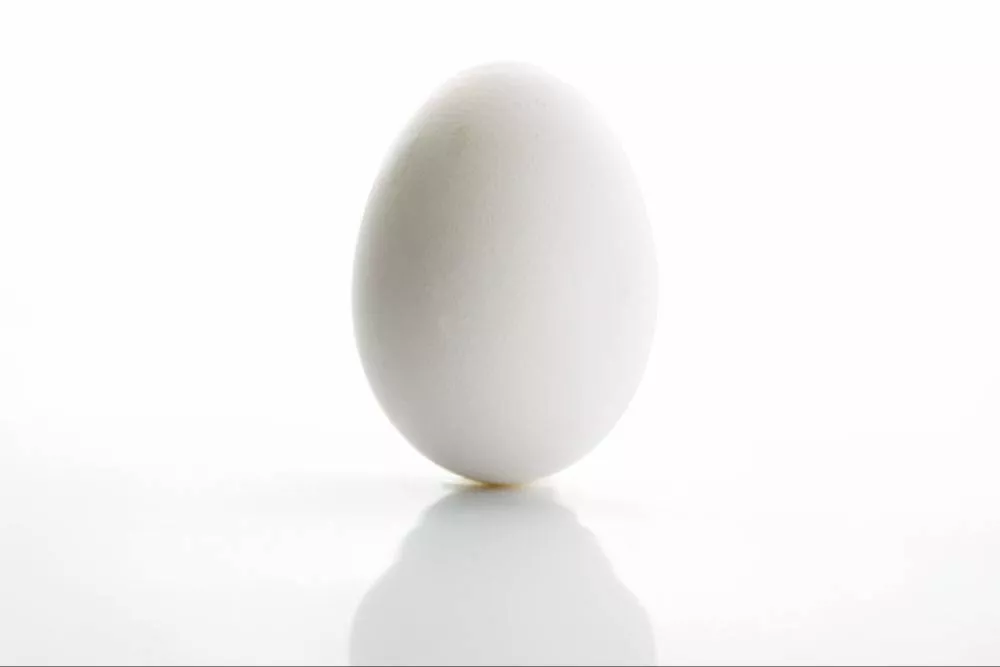 KAKA CHICKEN CORNER Fresh White Egg in Aliwal - Nutrient-Rich and Ideal for Cooking -  - Buy Online at BALWINDER MASIH
