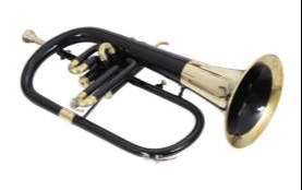 Stylish FLUGEL HORN BRASS in Black Blue showcasing its elegant design and durable body, perfect for musicians in Meerut. - Image 1