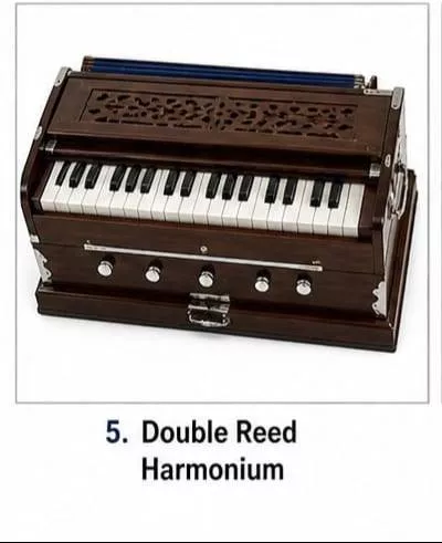 Double Reed Harmonium -  - Buy Online at MELODY MAKERS INDIA