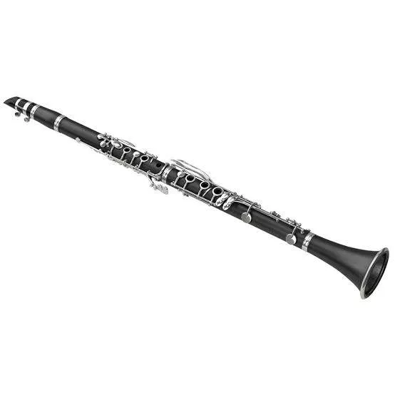  Diplomat USA Clarinet Bb Hard Case MELODY MAKERS INDIA 219 311 JALI KOTHI  MEERUT PURWA  AHAMAD NAGAR OPP NADAR ALI CO NASIR ALI COMPANY JALI KOTHILANDMARK M