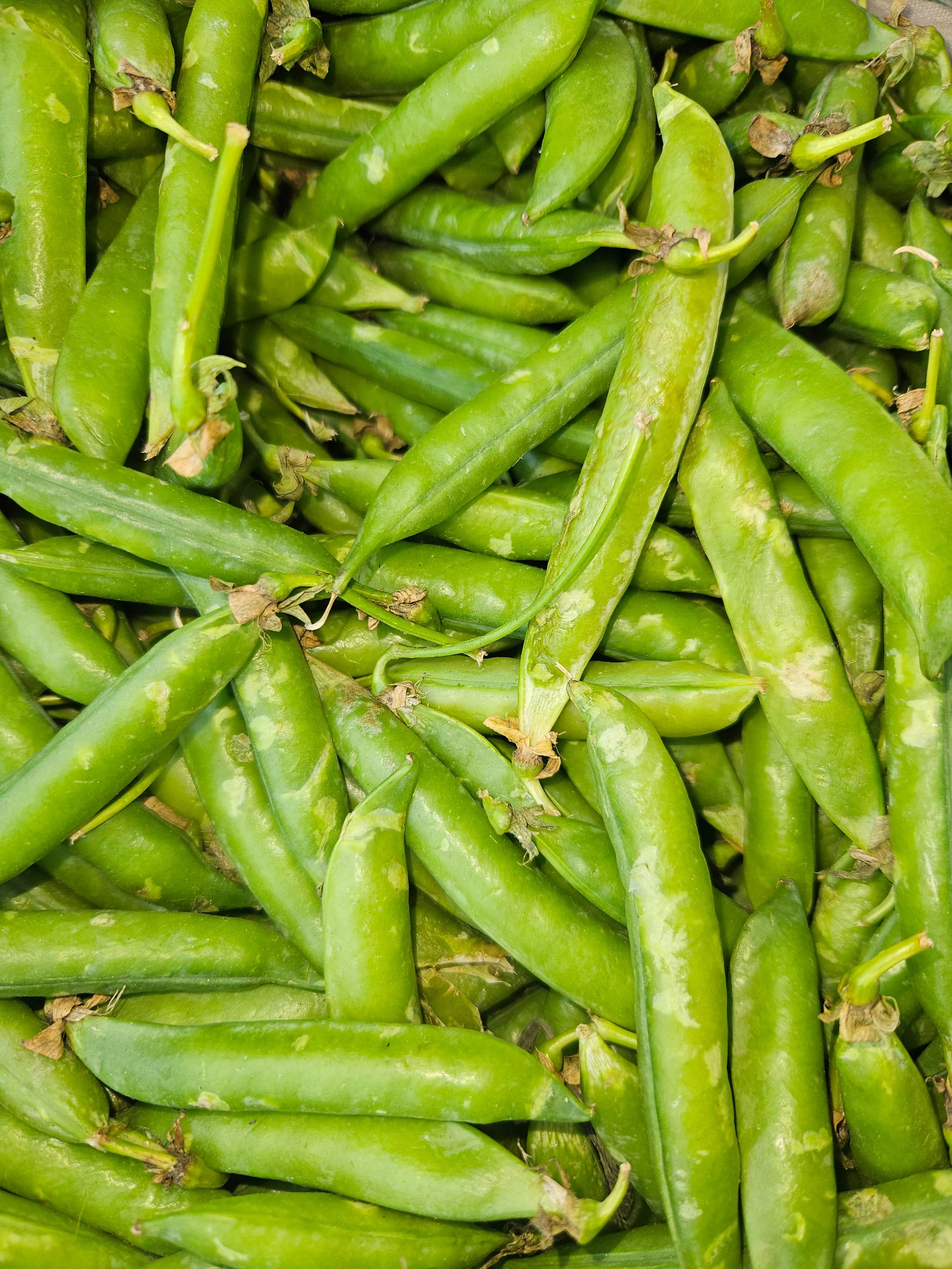 Fresh Green Peas in [Location (city only)] - Delicious and Nutritious -  - Buy Online at SHARMA FRUIT HOUSE