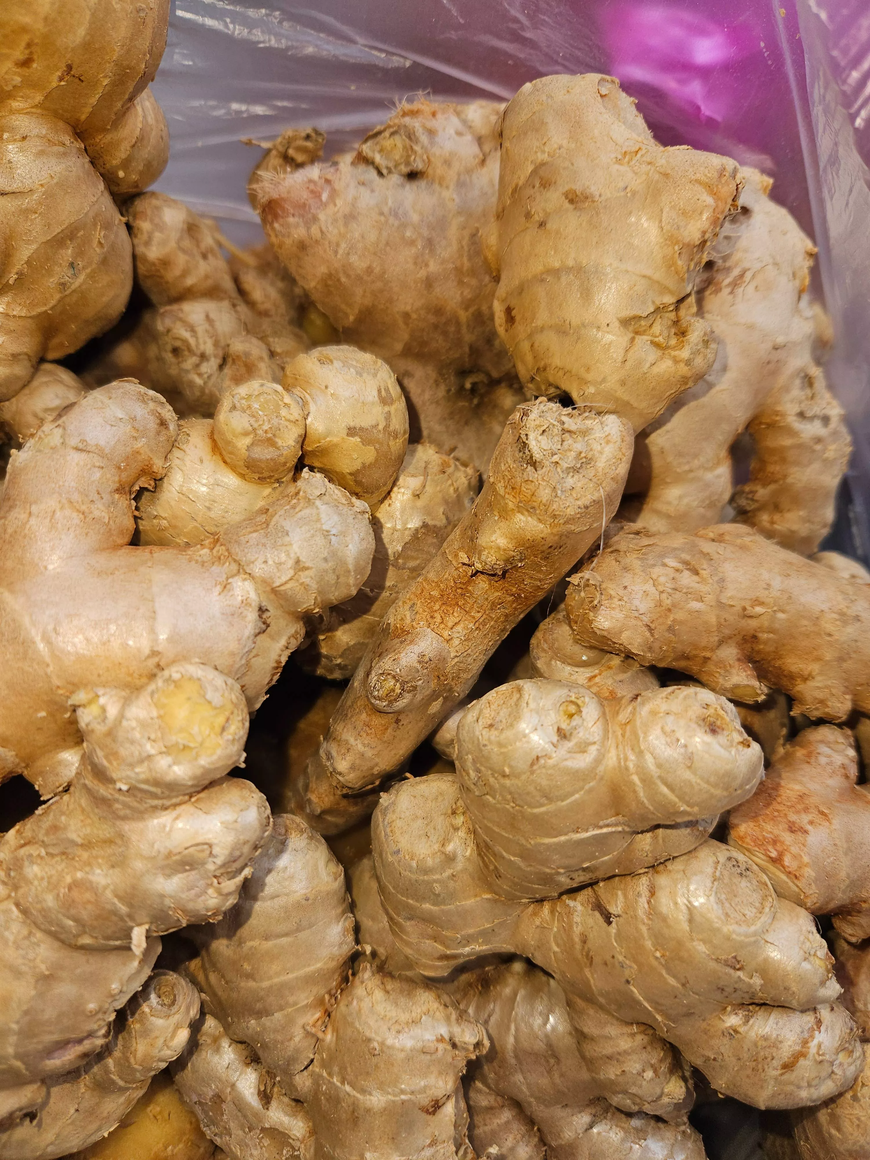 Fresh Ginger Root in [Location (city only)] - Aromatic Flavor Booster -  - Buy Online at SHARMA FRUIT HOUSE