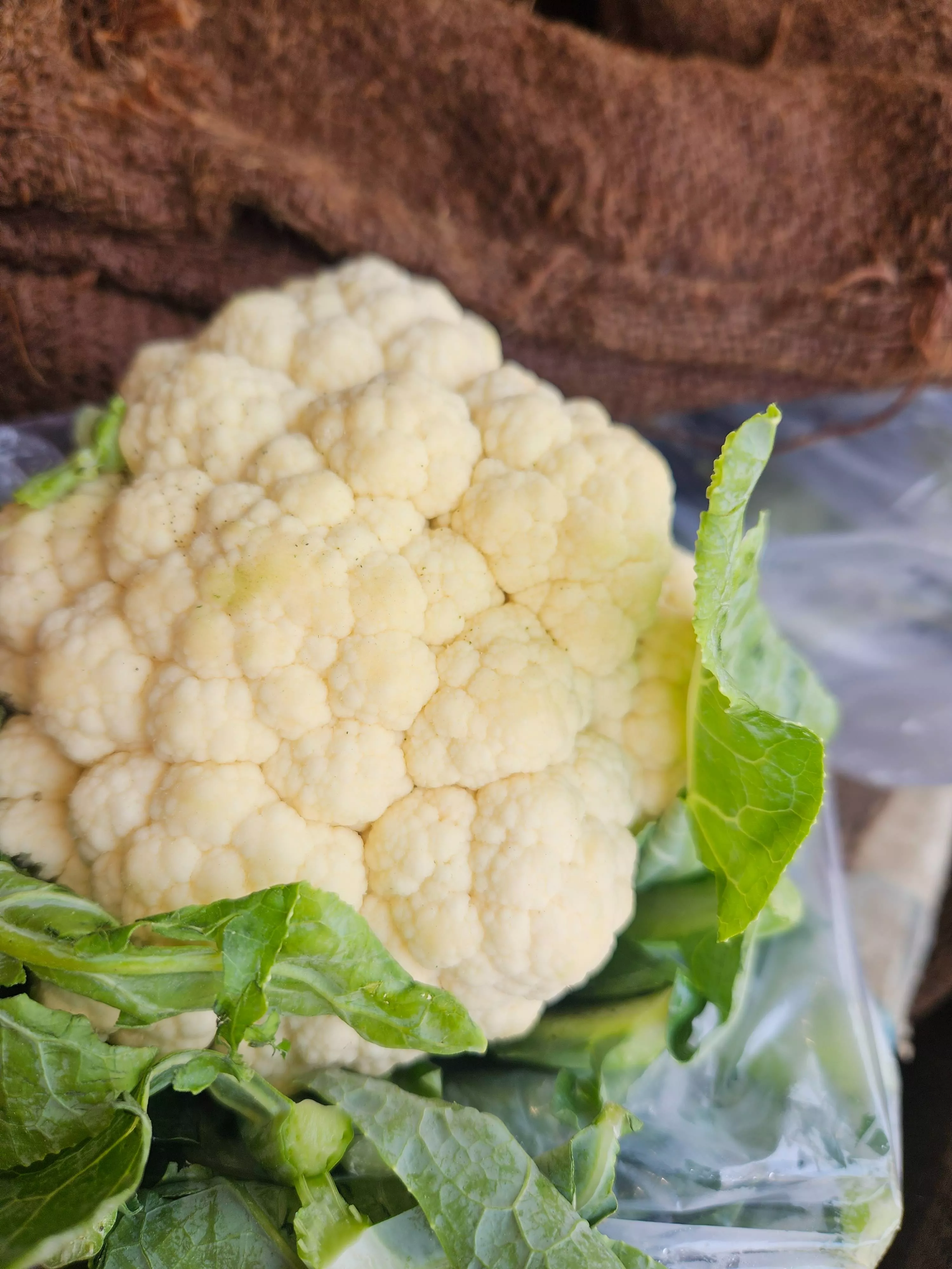 Fresh Cauliflower in [Location (city only)] - Ideal for Healthy Meals -  - Buy Online at SHARMA FRUIT HOUSE