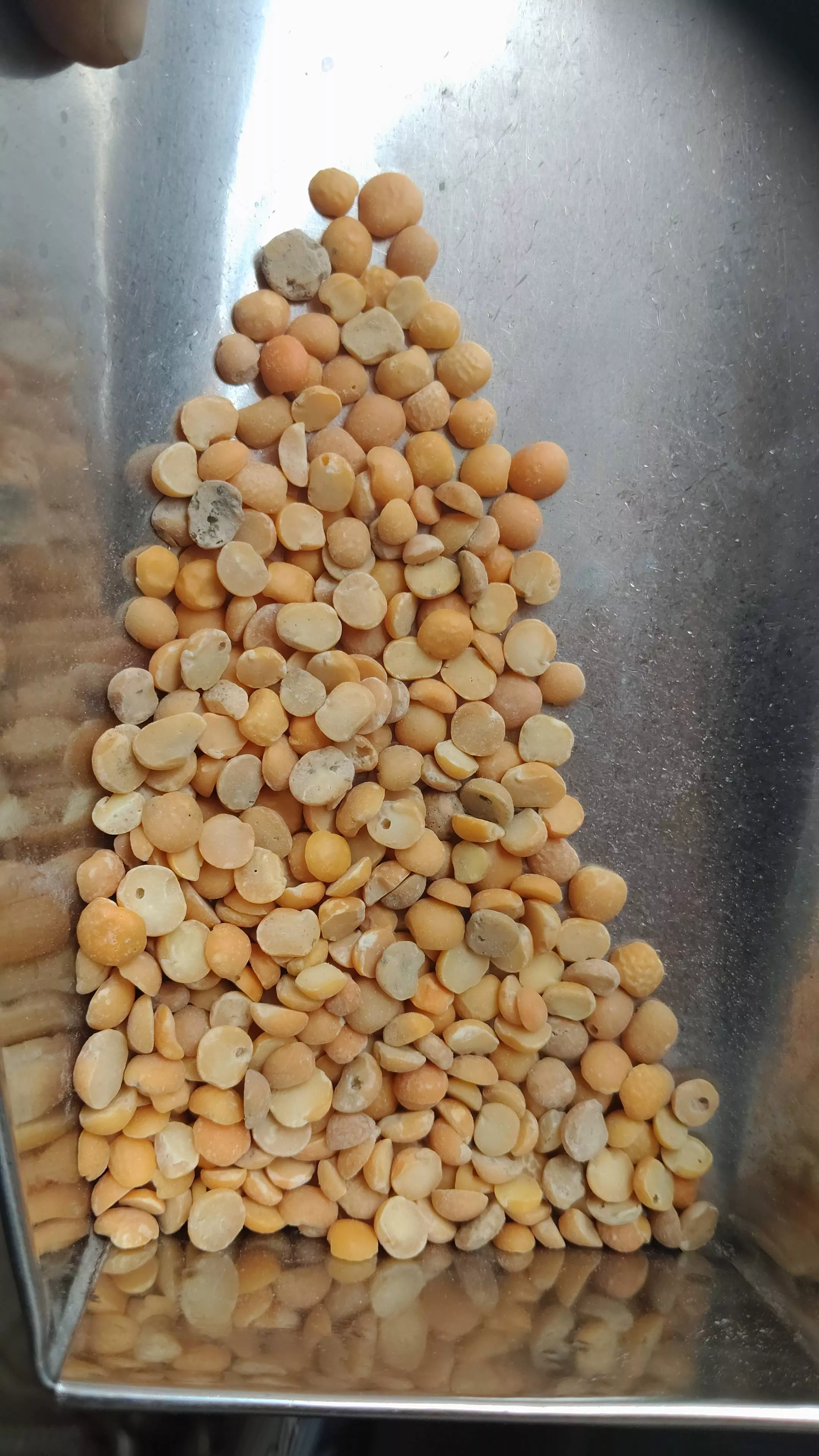 Chana Dal in Kasganj: Nutrient-rich Pulses for Your Healthy Diet -  - Buy Online at SHUBH KIRANA TRADERS