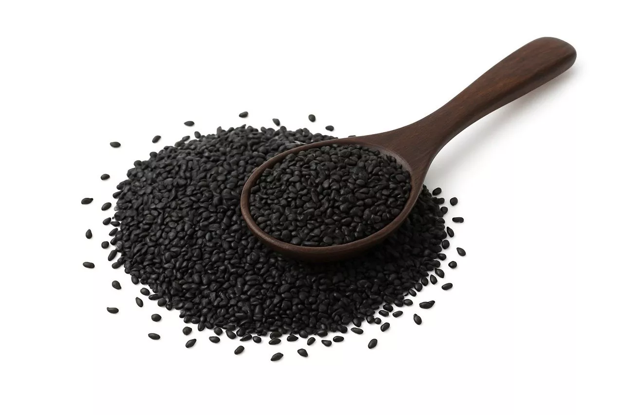 Organic Basil Seeds in Delhi - Packed with Nutrients -  - Buy Online at VAGMINE SOUL