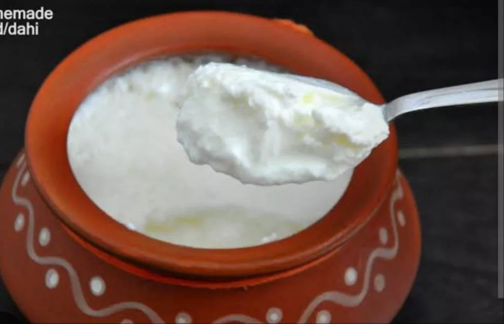 Dahi in Yamunanagar Haryana - Fresh and Creamy -  - Buy Online at CHAAT BASKET