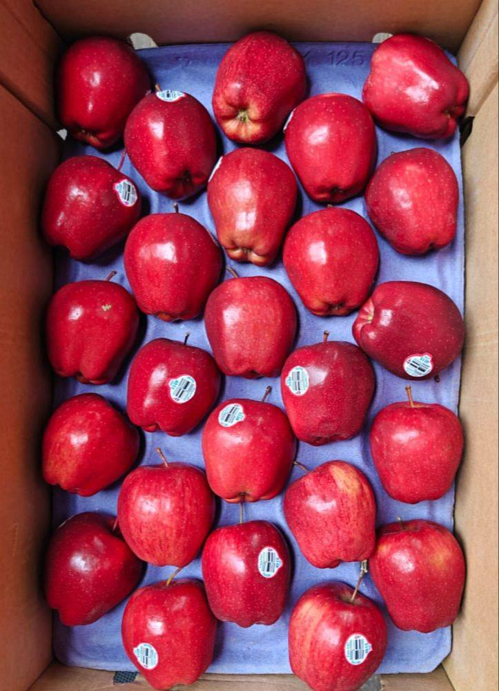 Apple Product in Mumtaz Ali - Top-Notch Performance -  - Buy Online at MUMTAZ ALI AND SAMEER ALI