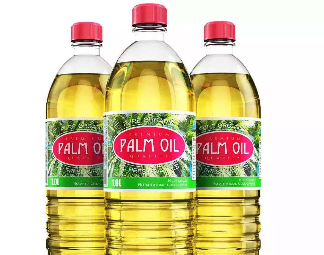 High-quality palm cooking oil in a clear bottle, labeled Cooking Oil Palm Oil, displayed on a kitchen countertop in Burgampah