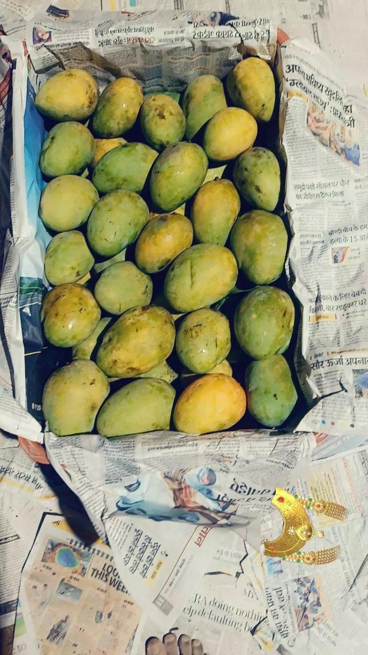 Fresh organic Papaya from DHANJI GOND in Ballia, showcasing vibrant yellow flesh and smooth skin, perfect for healthy snacks.