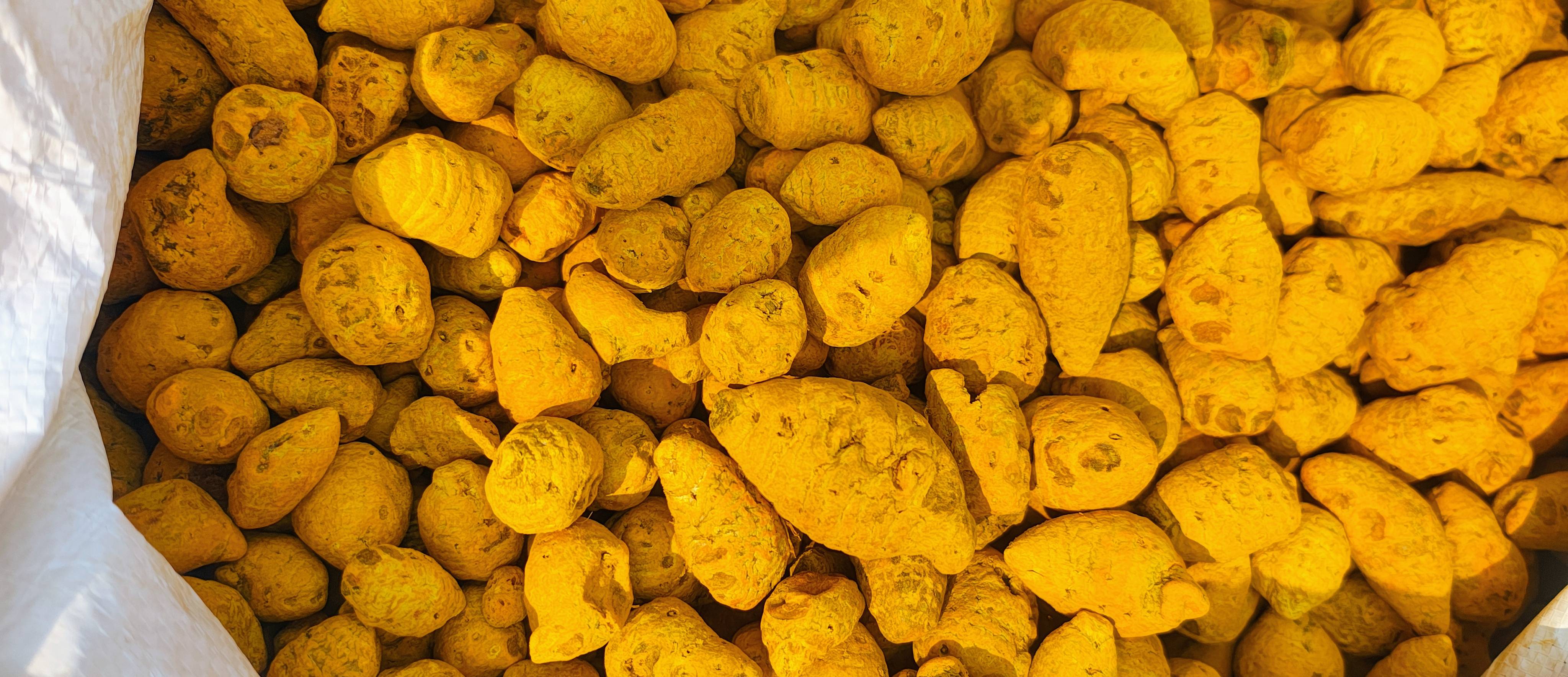 Organic Turmeric Haldi supplement in a vibrant yellow hue, packaged attractively with health benefits highlighted, available 