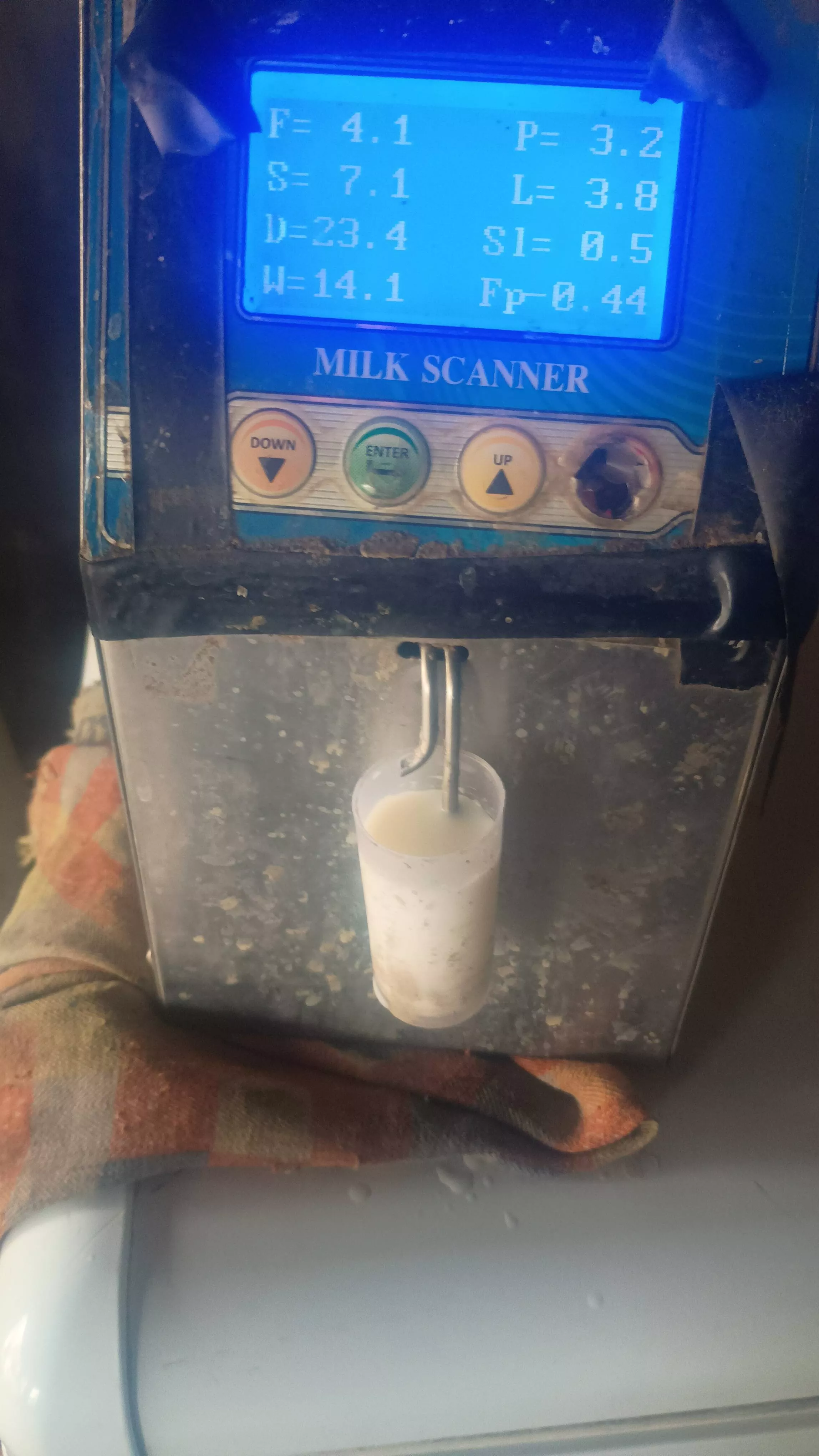 ASHISH MIDHA - DAIRY Products in MIDDHA: Premium Quality FAZILKA in FAZILKA