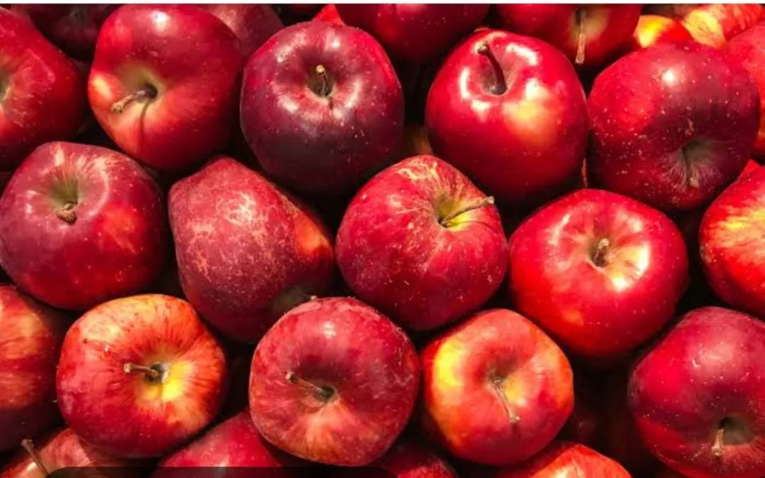 AKBAR TRADING CO - Apple Fruit in Bulandshahr - Good for Health in JAHANGIRABAD MANDI
