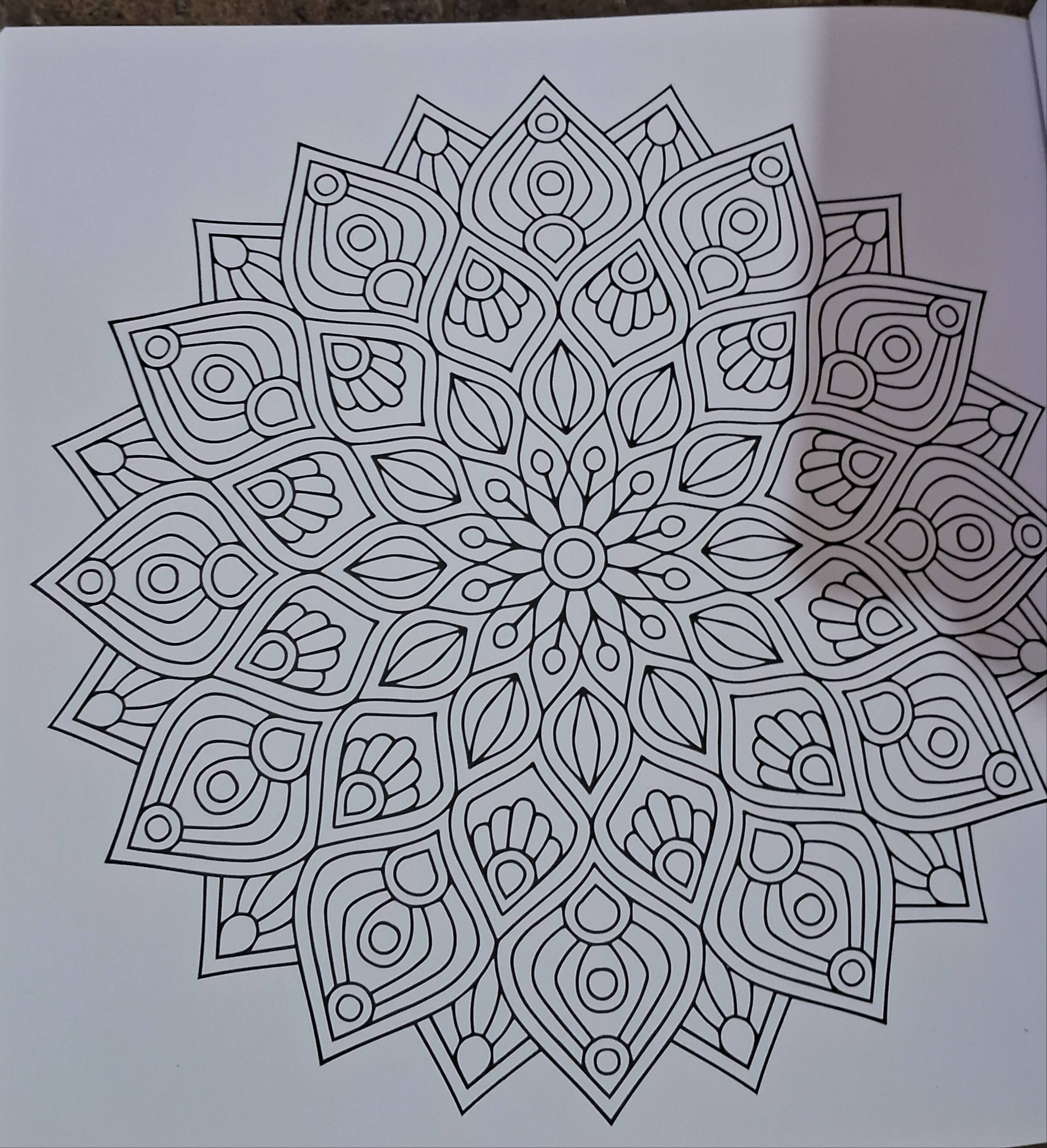 Coloring Book Meditative Mandalas in Lucknow - Image 2