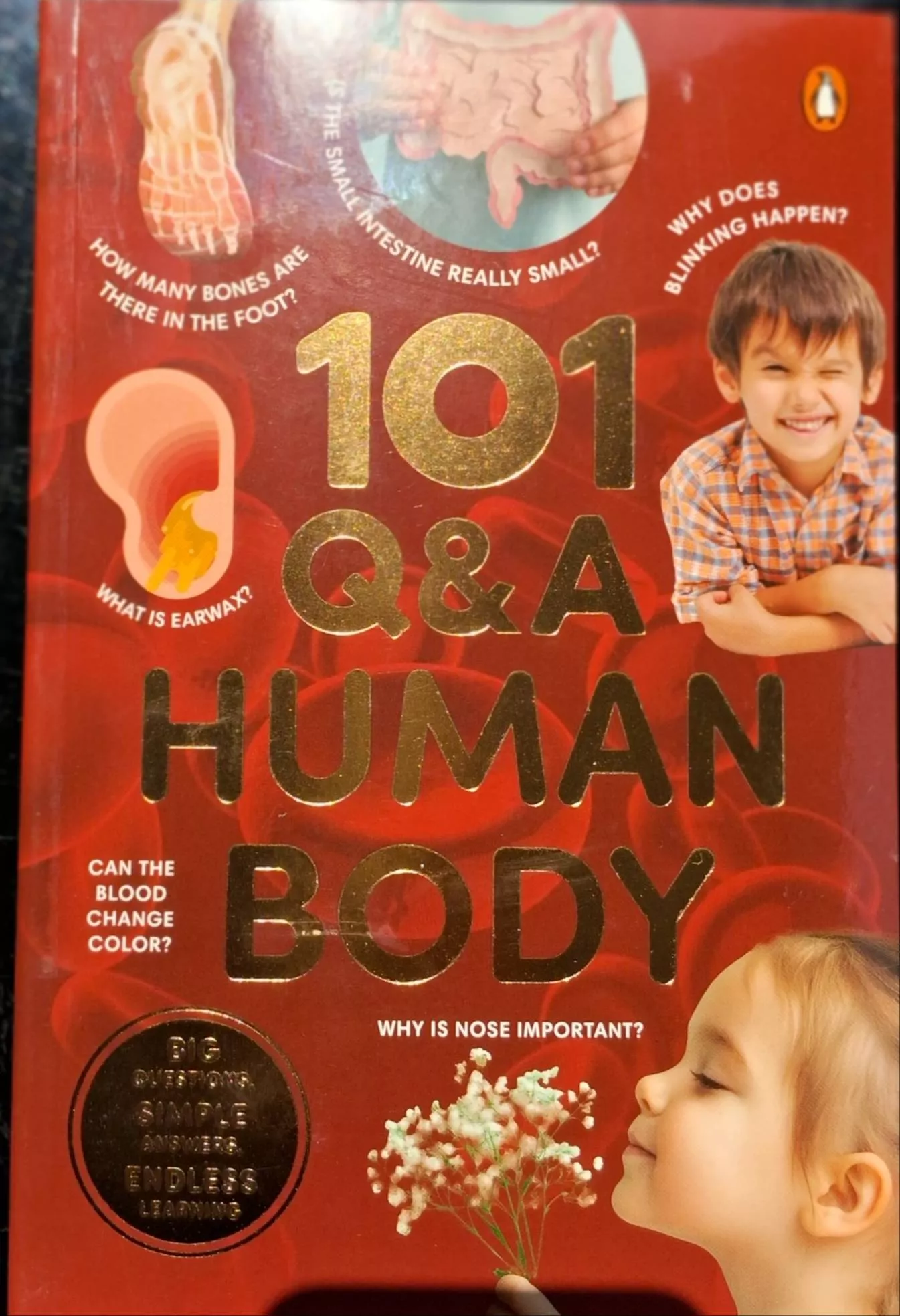 A colorful cover of '101 Q&A on the Human Body' showcasing intriguing questions designed for young readers, available in Luck