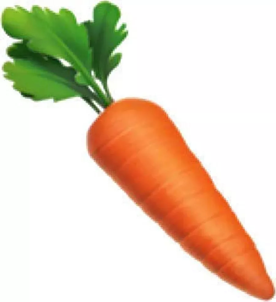 S K TRADING CO - Organic Carrot in Ambala City: Fresh and Nutritious in AMBALA CITY