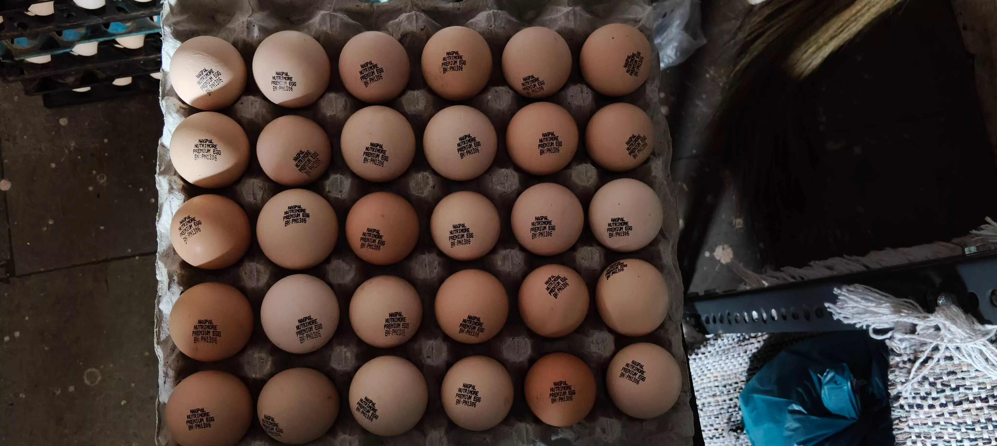 Quality farm fresh eggs from GUJARAT EGG SUPPLIERS in Vapi, showcasing their freshness and quality.