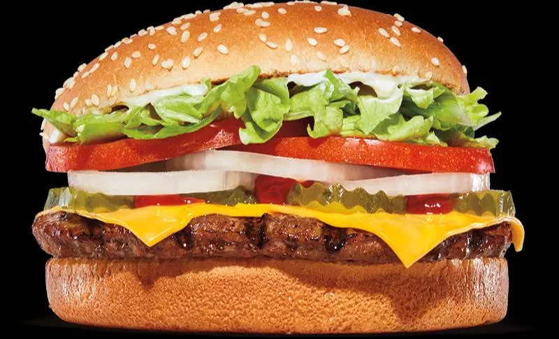 LUMORA PARADISE - Restaurant Burger in Lumora | LUMORA PARADISE in Pathankot
