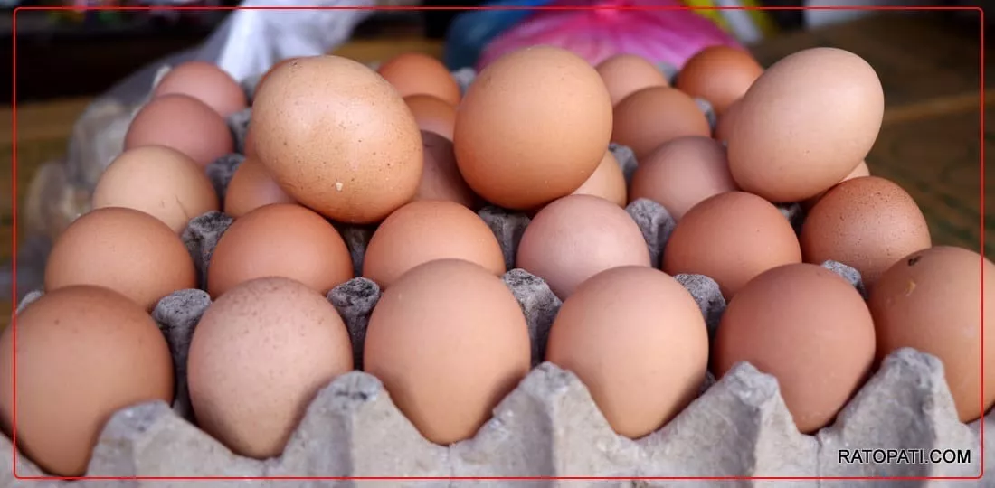 MD TOMBA - Fresh Farm Eggs in Thoubal | MD TOMBA in THOUBAL