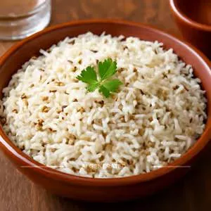  Khalsa Royal Dhaba Jeera Rice in Gondia | KHALSA ROYAL DHABA KHALSA ROYAL DHABA C O KHALSA ROYAL  DHABA At Gondia  Fulchur Naka In Front Of C Cot