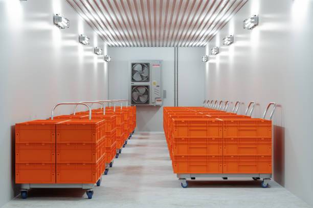 High-quality Meat Freezer available at RK QUALITY CHICKEN CENTRE in Khammam, ideal for preserving freshness.