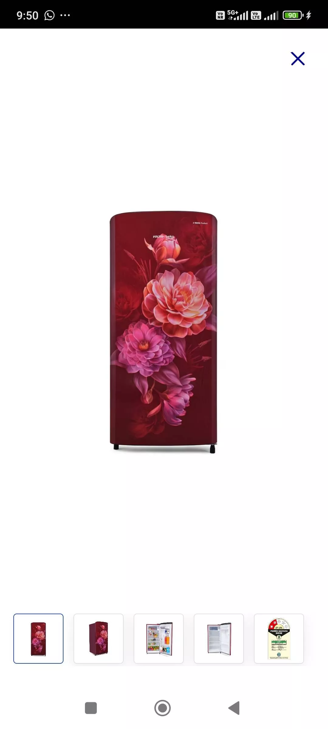 CHAMAN SINGH - Floral Refrigerator in kullu