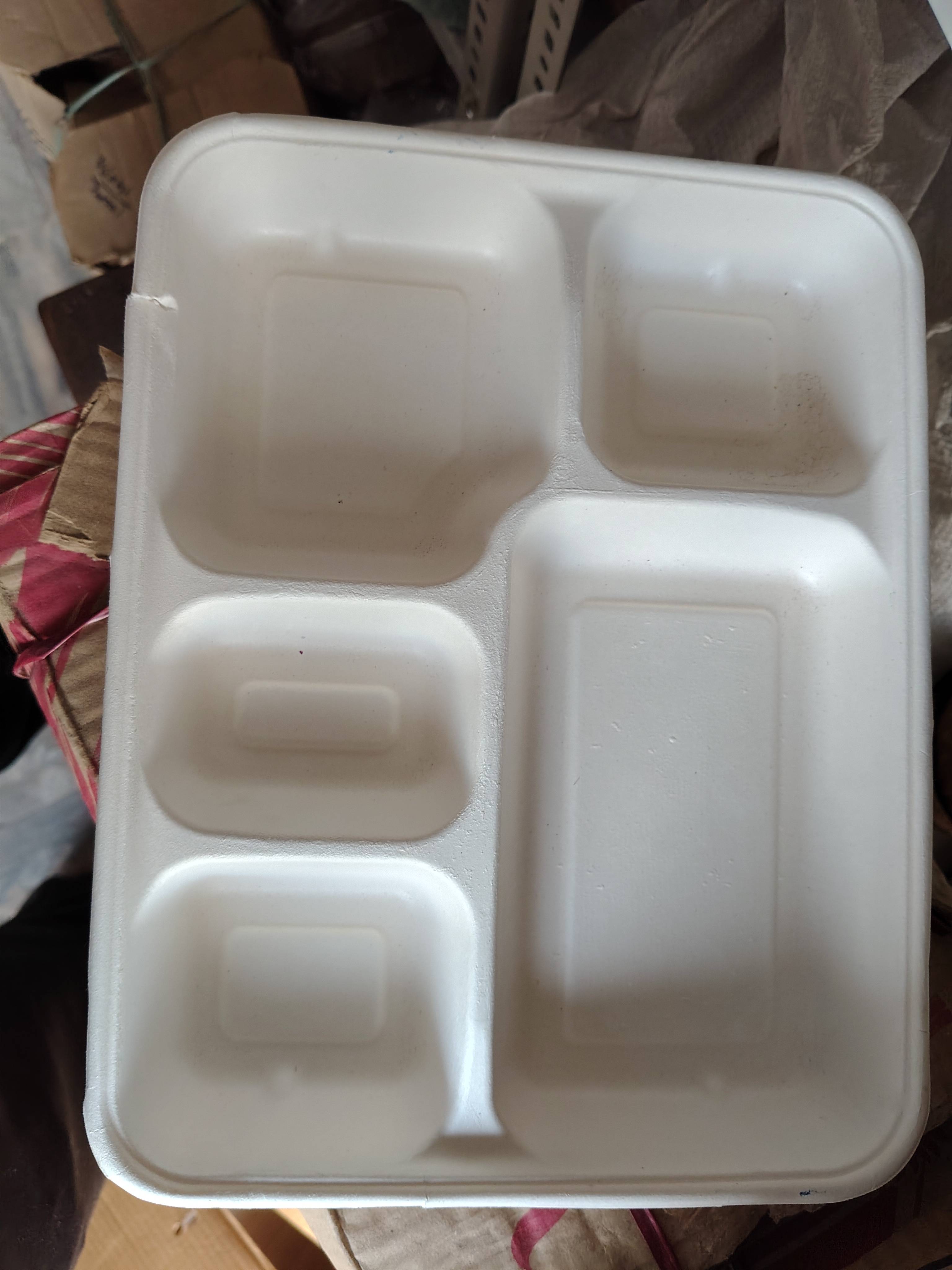 Colorful 5-Compartment Meal Tray in PUSHKAR, ideal for organized meals