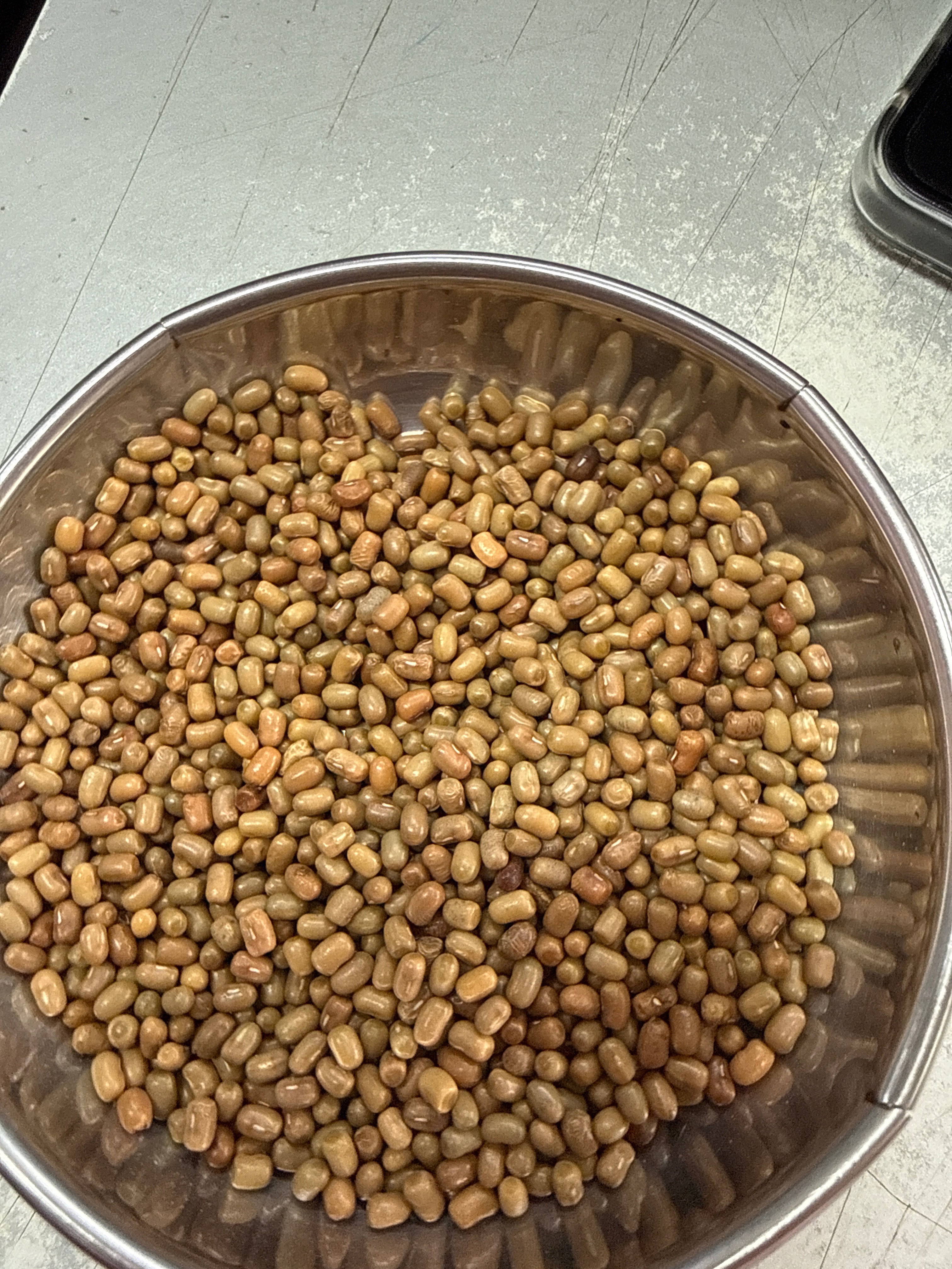 Whole Mathki Beans package showcasing natural legumes, Mumbai