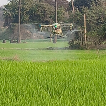 Drone spray for paddy | NANO EAGLE VISION | 