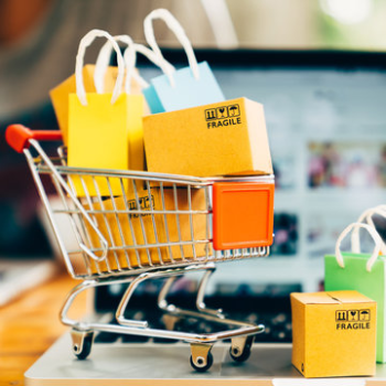 Online Shoping SINIQ LIFE Calicut, Palakkad District,pattambi Thaluk