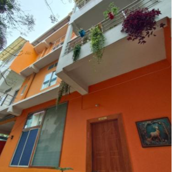 A comfortable and away from home guest house THE PALM SUITES The Palm Suites 67 Rajgarh Road Opposite By Lane 8