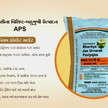 Insurance field | SHREE RADDHI ENTERPRISE | ABOVE PNB BANKBUILDING AD JANIROAD LIMBDI 1ST FLOOR ABOVE PNB BANK