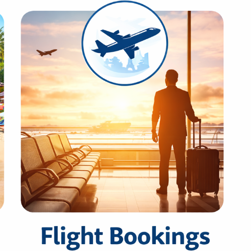 Flight Bookings | Vyaparify Store | 1207 Vijay Nagar