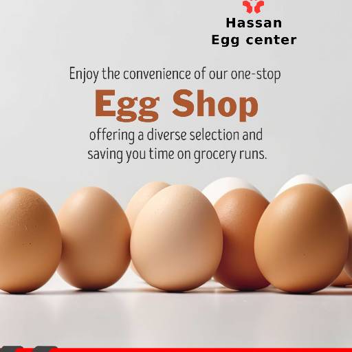 Fresh Eggs in Hassan | High-Quality and Nutritious | MOHAMMED FAROOQ | Hassan Egg Centre  Hosline Road Opp  Javid Banana Merchant