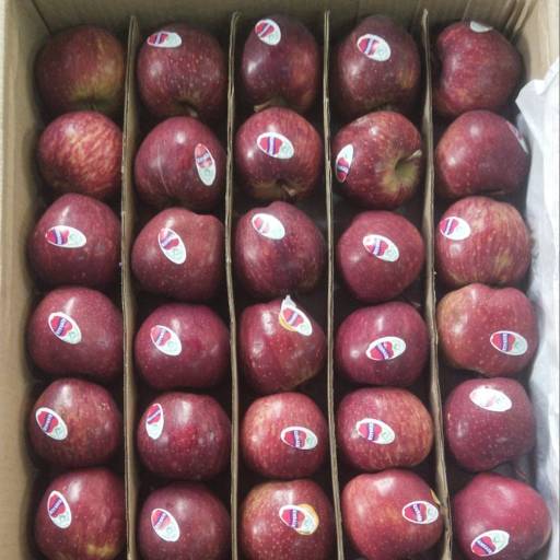 Fresh Fruits and Juice in Raipur | Healthy Refreshment | SAHUJI FRUIT AND JUICE SHAKE CORNER | CO SAHUJI FRUIT ANDJUICE SHAKE CORNERNAGAR NIGAM COLONY AGRASEN CHOWK RAIPUR