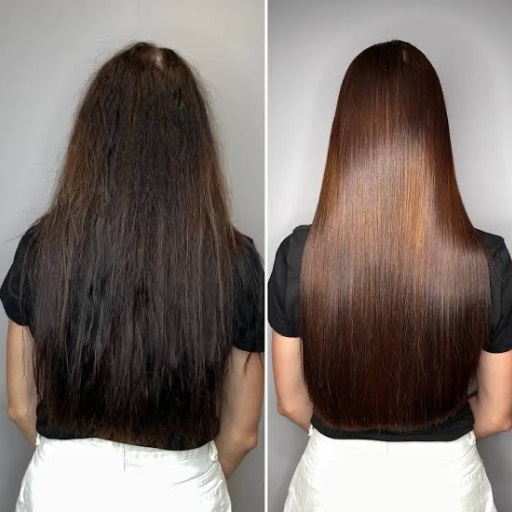 Hair Botox Treatment in Meerut | Repair and Shine | EMBELLISH MAKEUP STUDIO AND SALON | A 73 74 GANGA NAGARGANGA SAGARMEERUT NEAR SPICE RESTRURENT